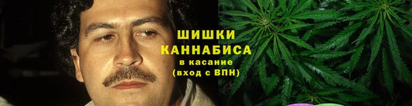 амф Верхний Тагил