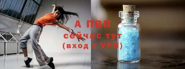 амф Верхний Тагил