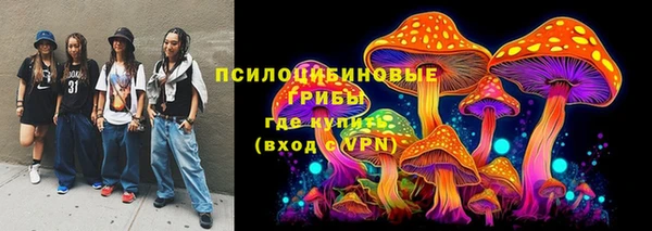 амф Верхний Тагил