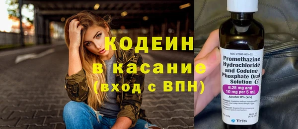 амф Верхний Тагил