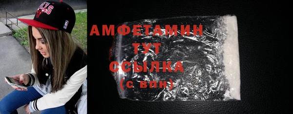 амф Верхний Тагил