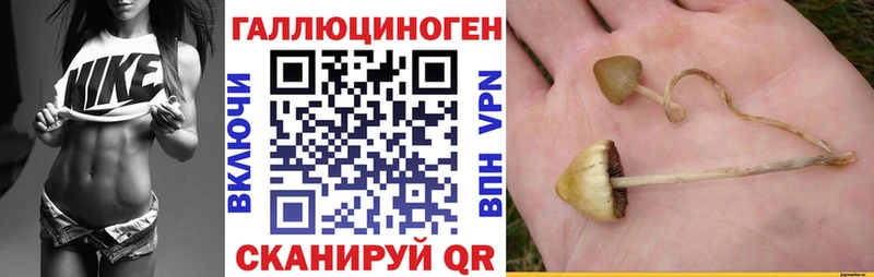 MEGA рабочий сайт  Вихоревка  Галлюциногенные грибы мицелий 